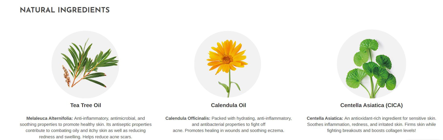 product-1813-574 NATURAL INGREDIENTS